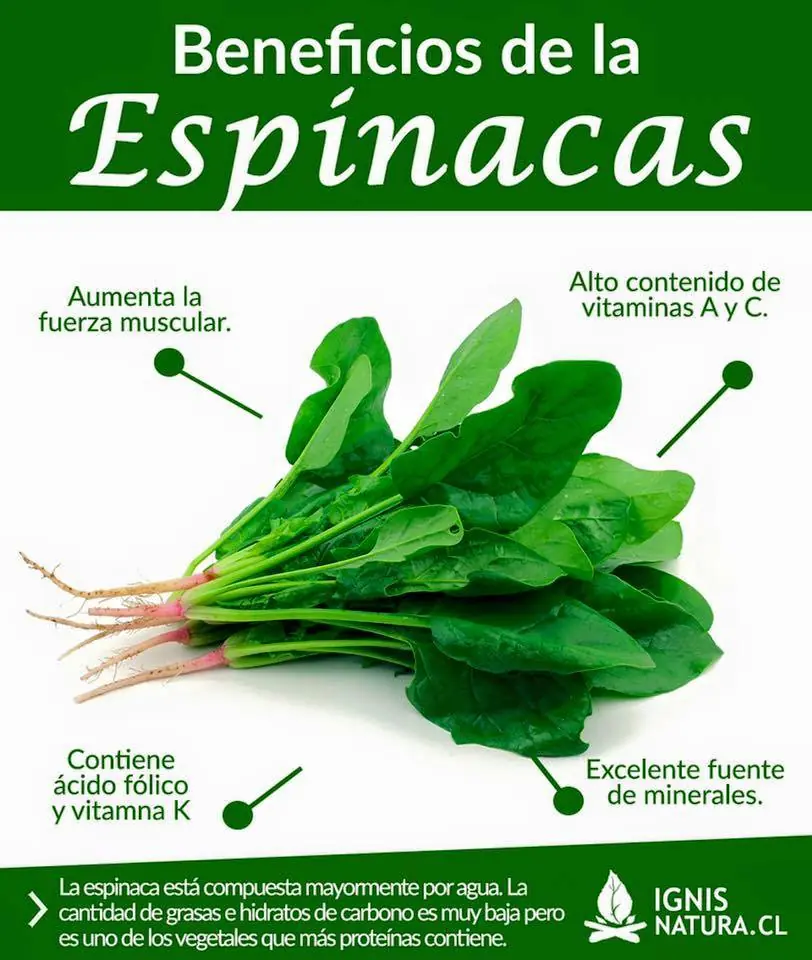 nutricion