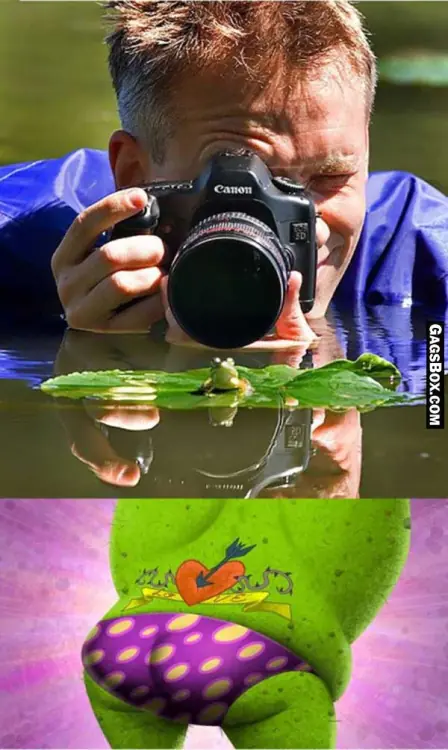 Humor de miércoles, raro, como taringuero de novio