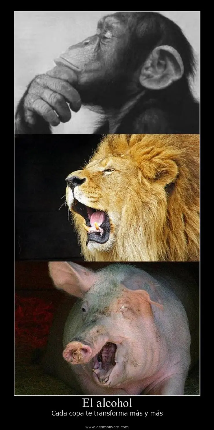Chistes