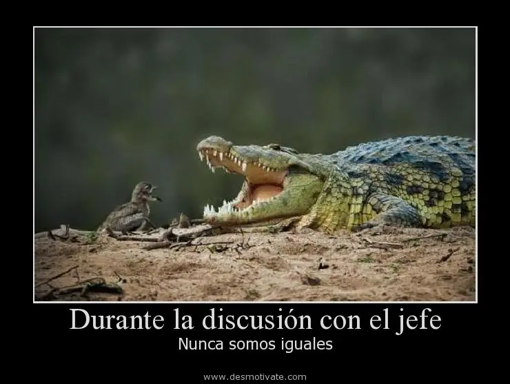 Chistes