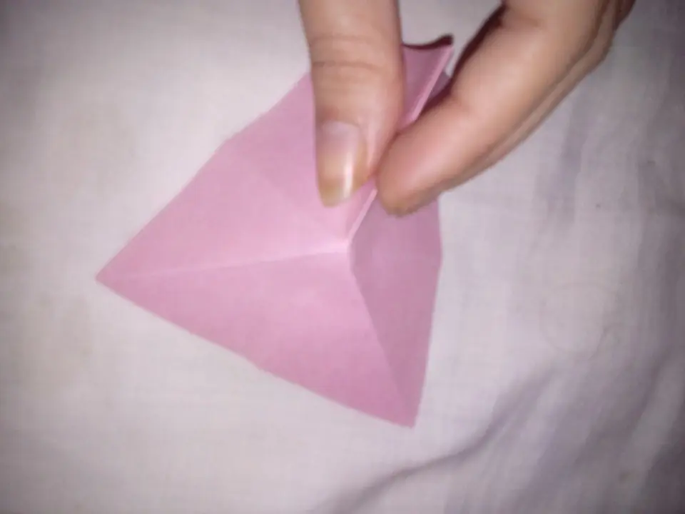 mariposa