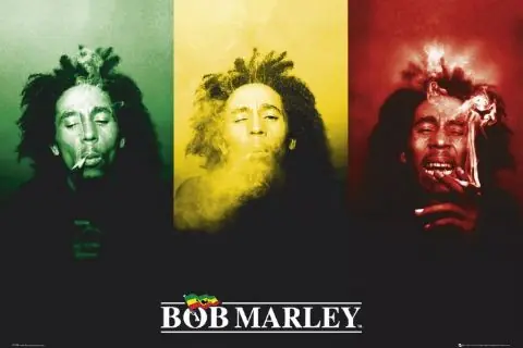 Biografia de Bob Marley+ Imagenes+Documental