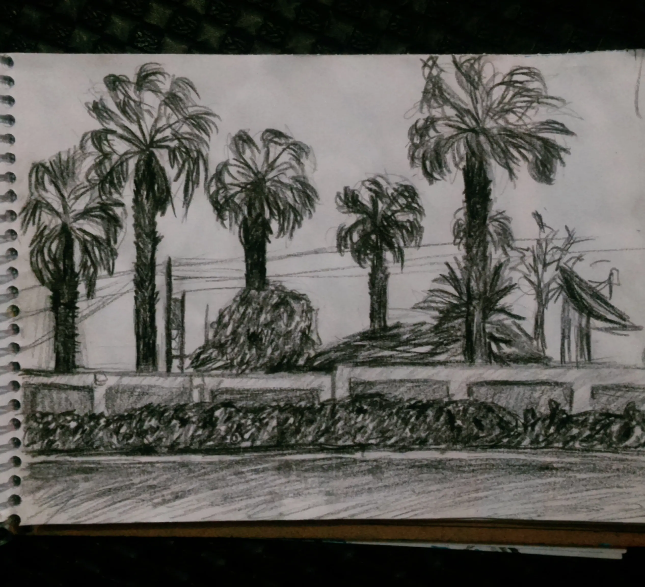 practica