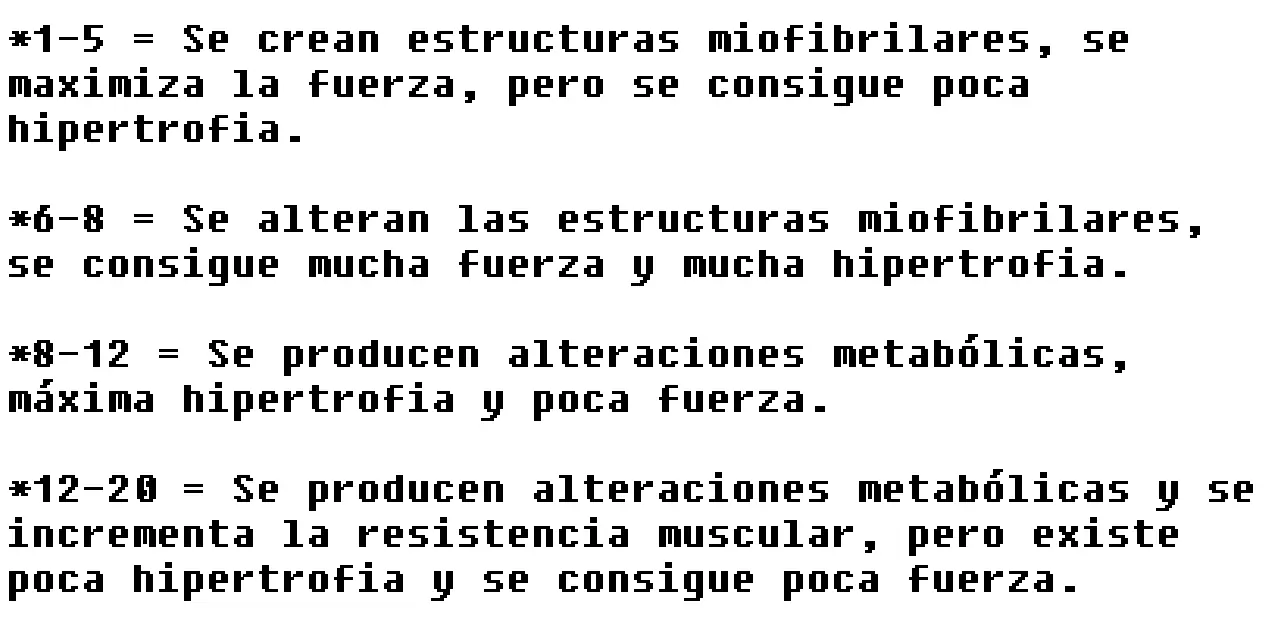 ¿Sos flaco/normal y queres musculo?La rutina definitiva