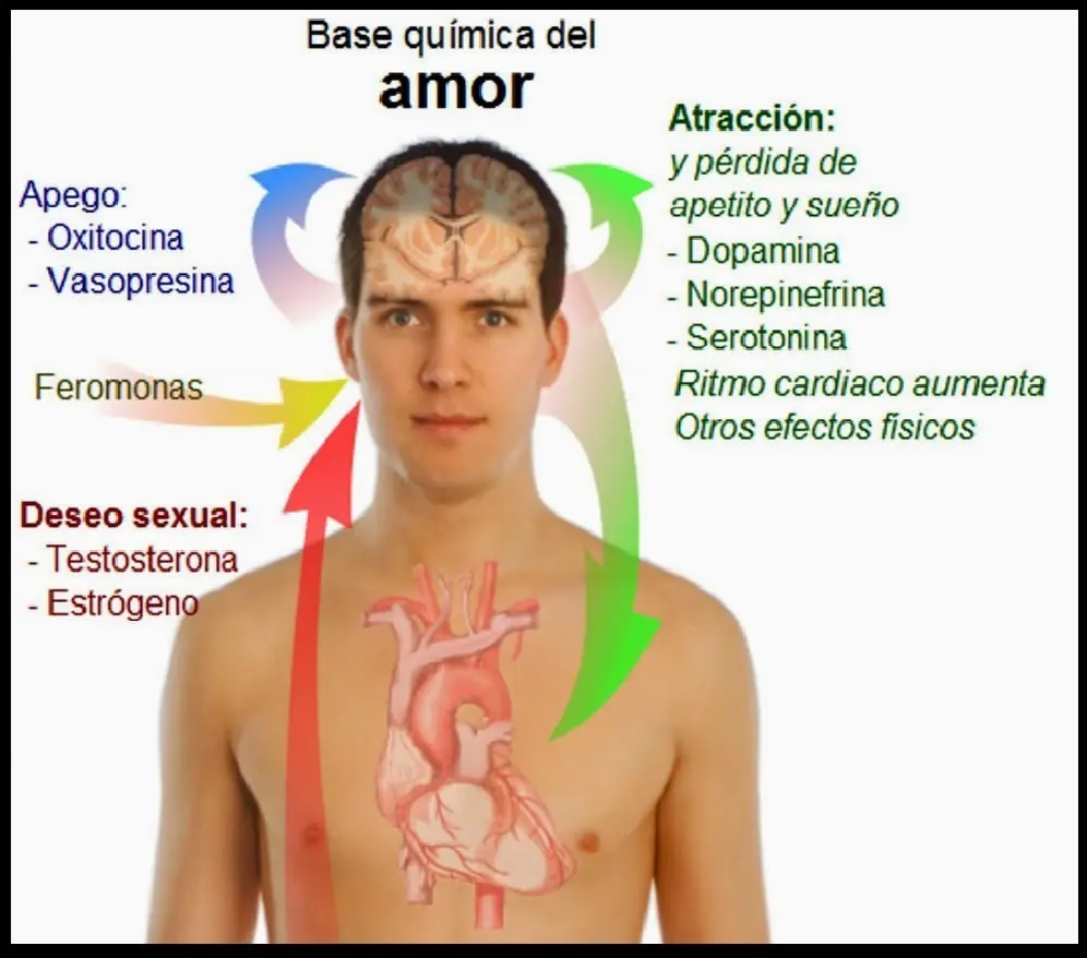 Que Que
