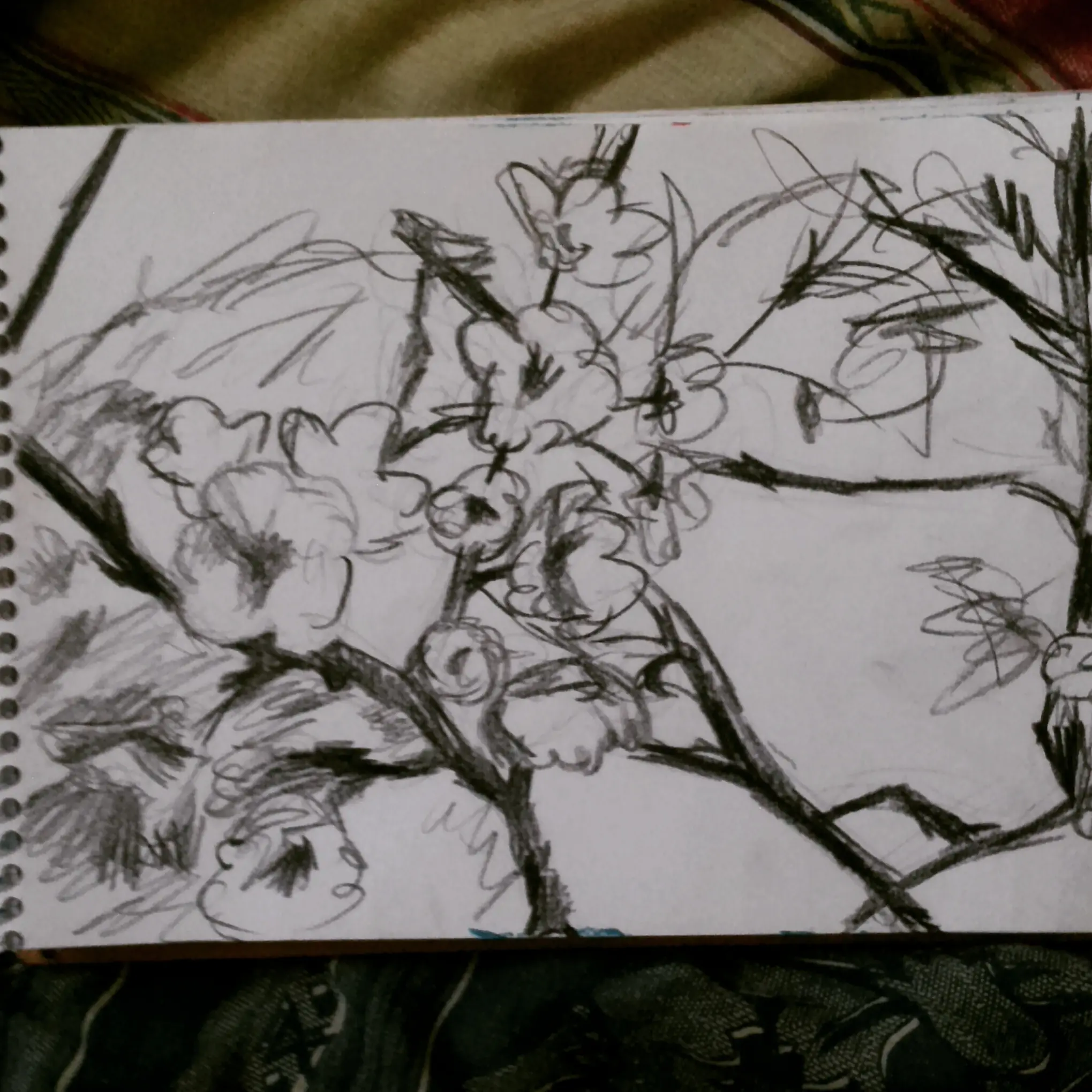 Te muestro algunos de mis dibujos