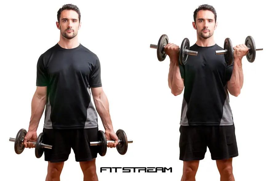 ¿Sos flaco/normal y queres musculo?La rutina definitiva