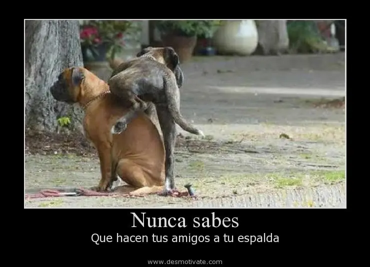Motivadores
