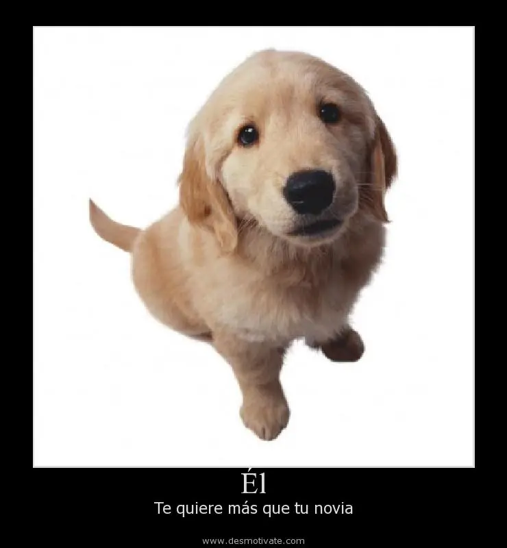 desmotivadores