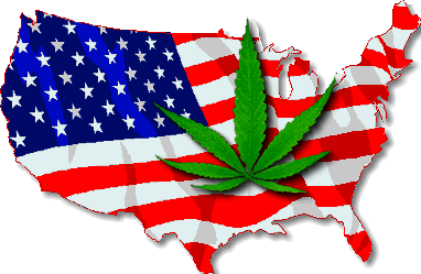 marihuana