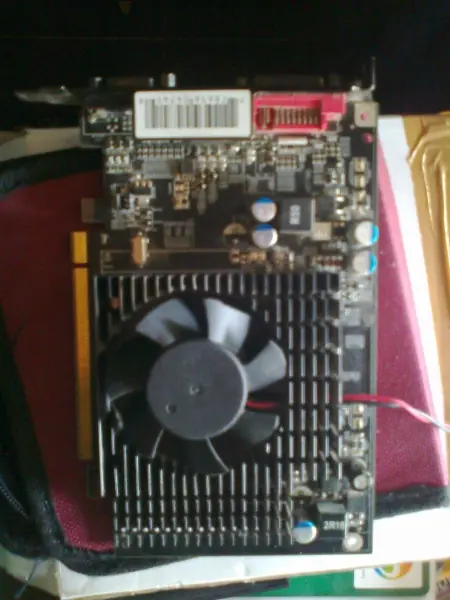case case