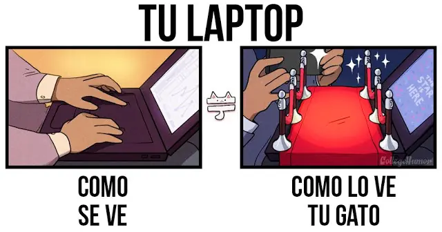 2016