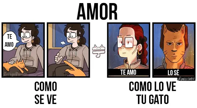 imagenes divertidas