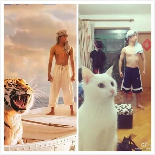 fotos