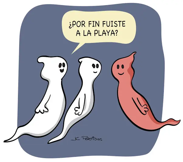 entra y reite