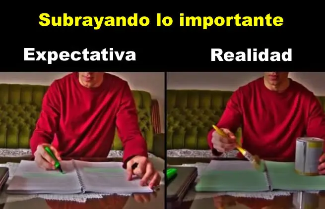 Expectativa v/s Realidad