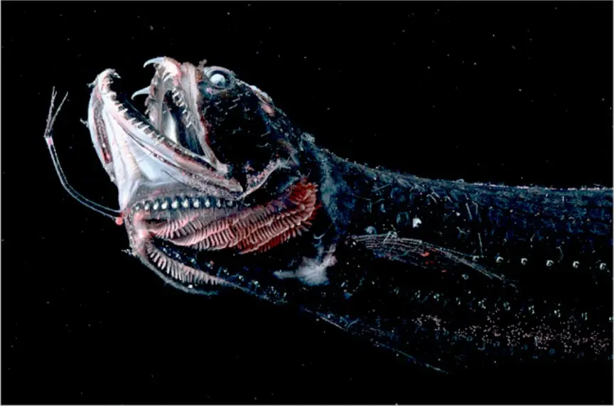 monstruos