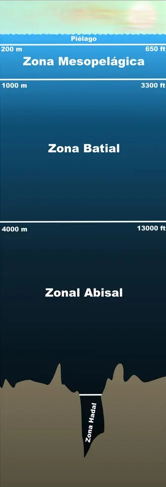 Fauna Abisal:Monstruos de las profundidades