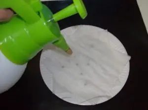 marihuana