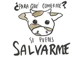 los animales son amigos