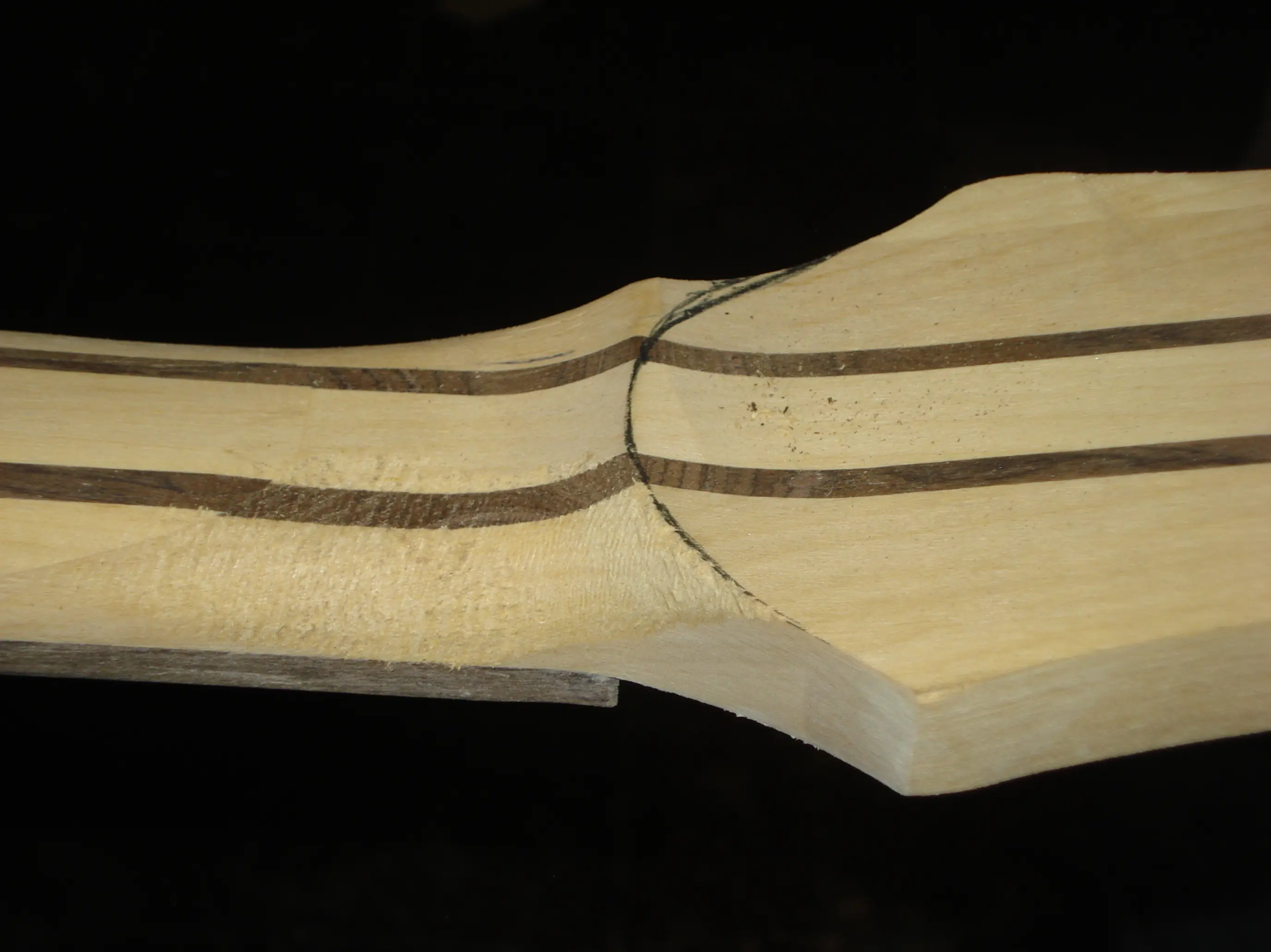 luthier