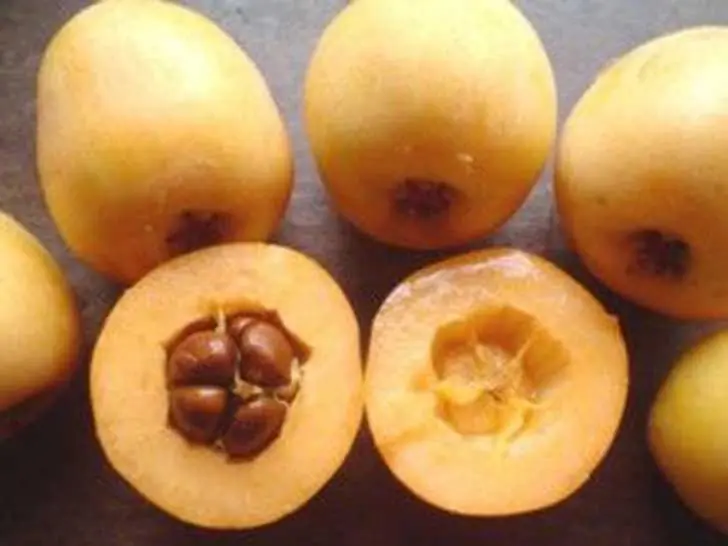 frutas