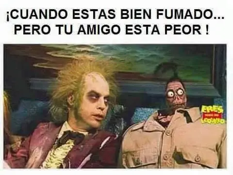 puerquito
