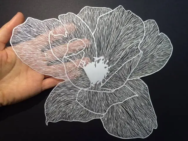 Intrincadas Ilustraciones de Papel Recortado por Maude White