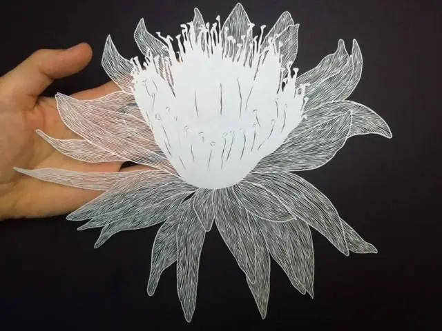 arte