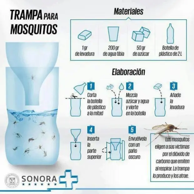 mosquitos