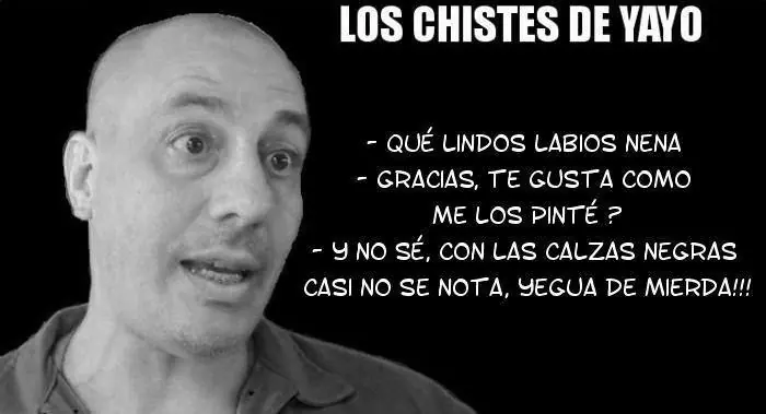 lince lince