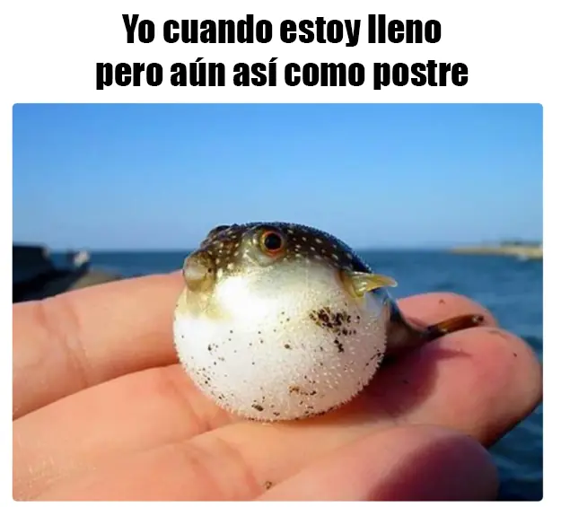 HumorGrafico