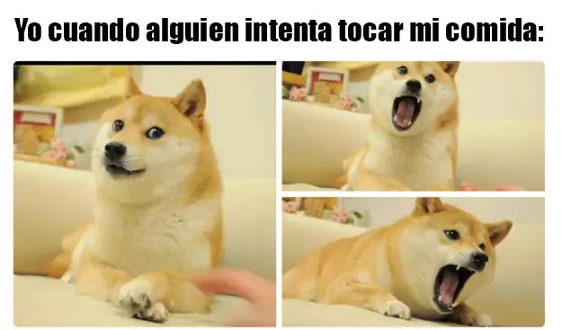 humor