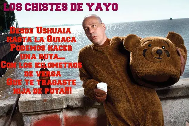 lince lince