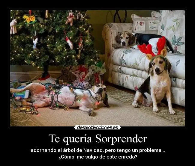 Perros metiendo excusas