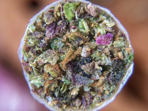 marihuana