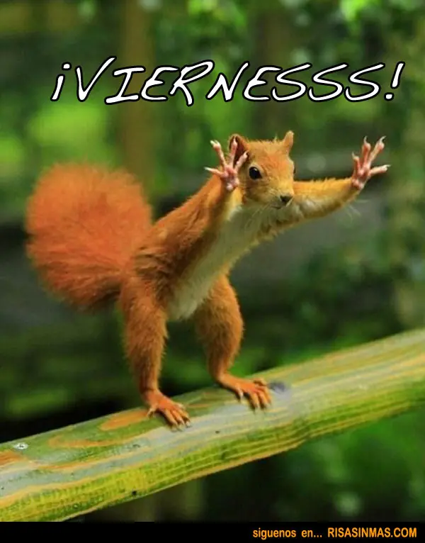 Por fin viernes