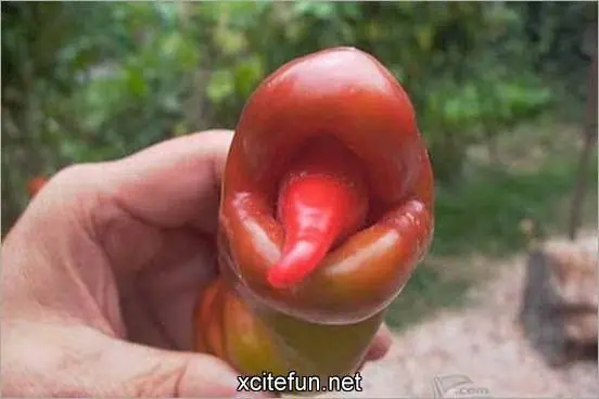 frutas