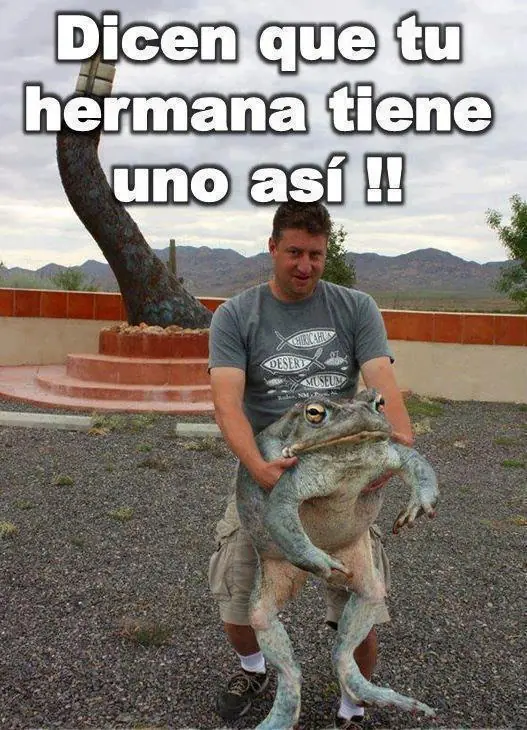 Reite con estas imagenes troesma