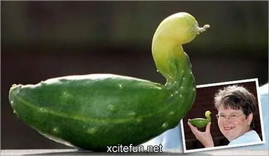 verduras
