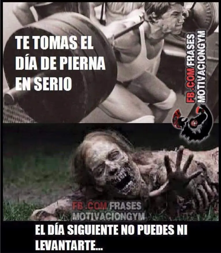 Como maximizar el desarrollo de las piernas en el Gimnasio!