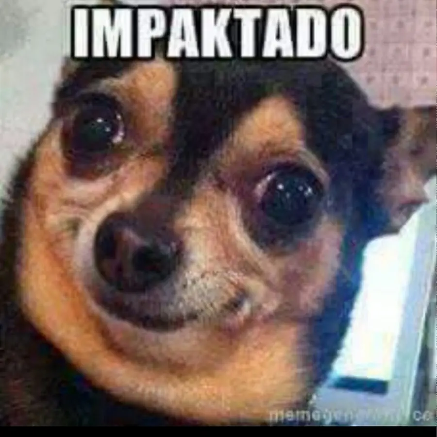 taringa