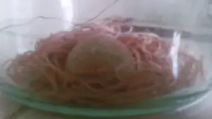 Científicos desmienten obviedad, el origen alienígena...