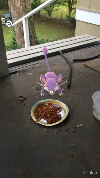 25 Lugares inapropiados en donde están encontrando pokemones