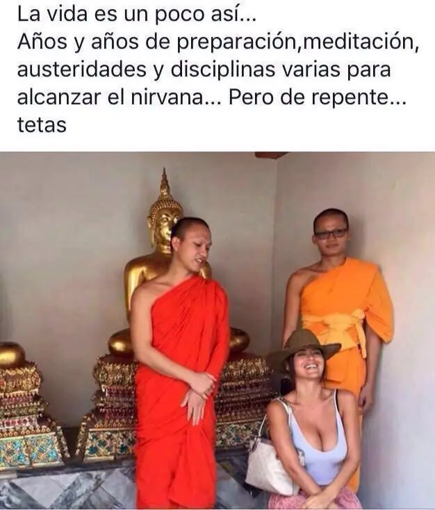 vinetas