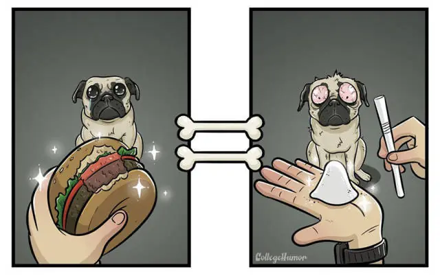 humor