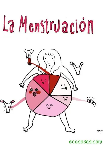 hormonas hormonas