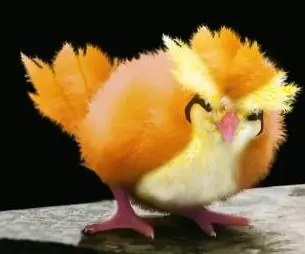 La verdadera historia de pokemon!