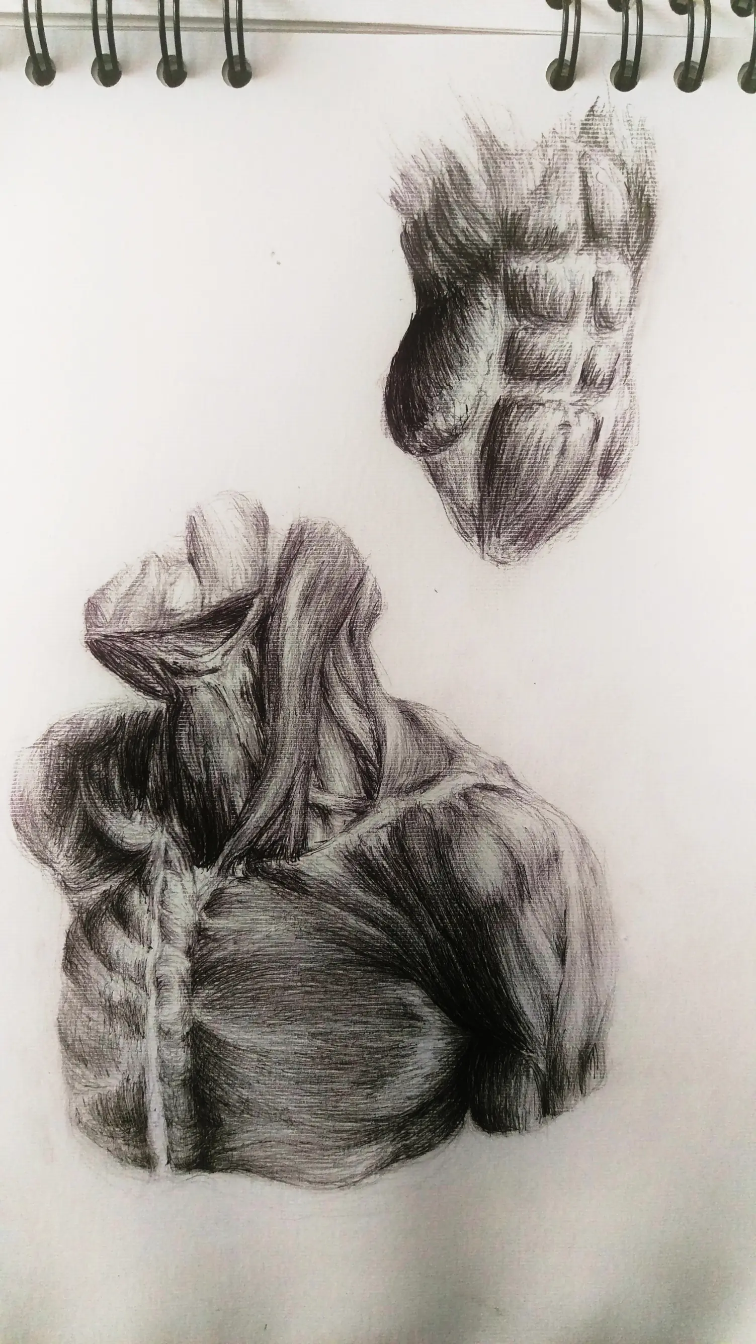 Algunos dibujos para la facultad