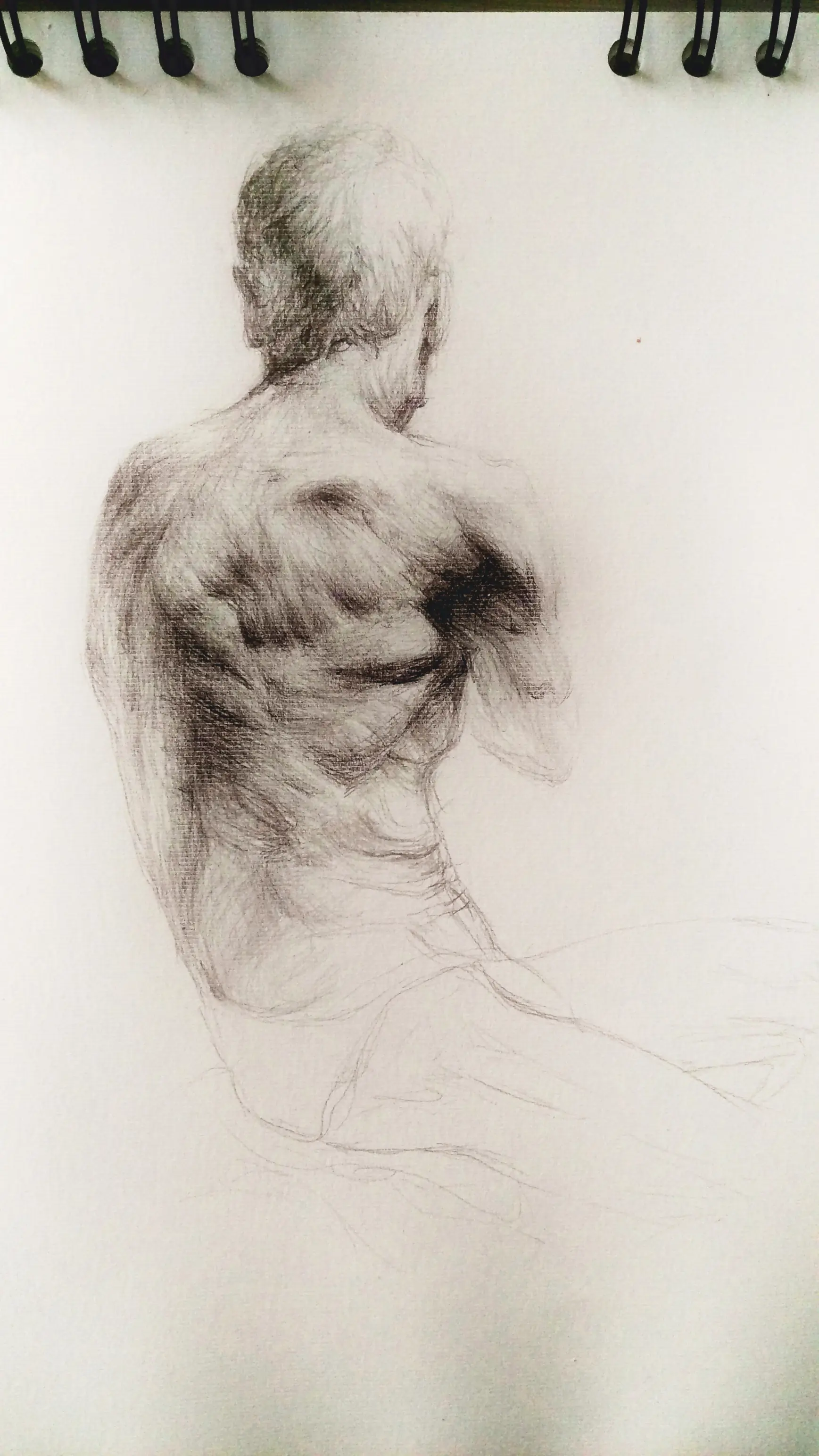 anatomia